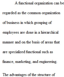 Project Management in Aviation Operations_Module 9 Assignment